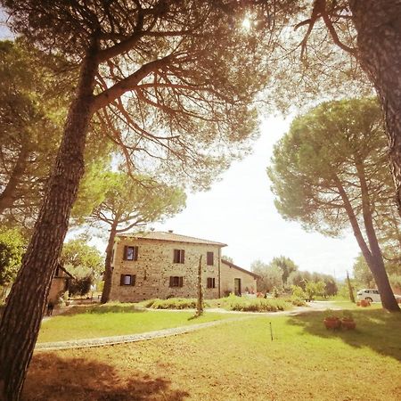Villa Verucchio La Bertinora Bed & Breakfast エクステリア 写真