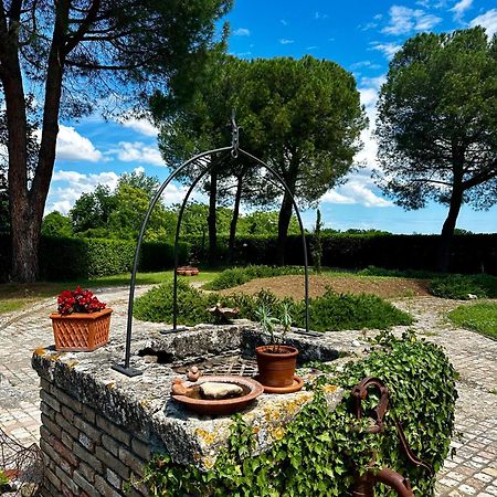 Villa Verucchio La Bertinora Bed & Breakfast エクステリア 写真