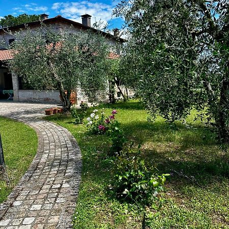 Villa Verucchio La Bertinora Bed & Breakfast エクステリア 写真